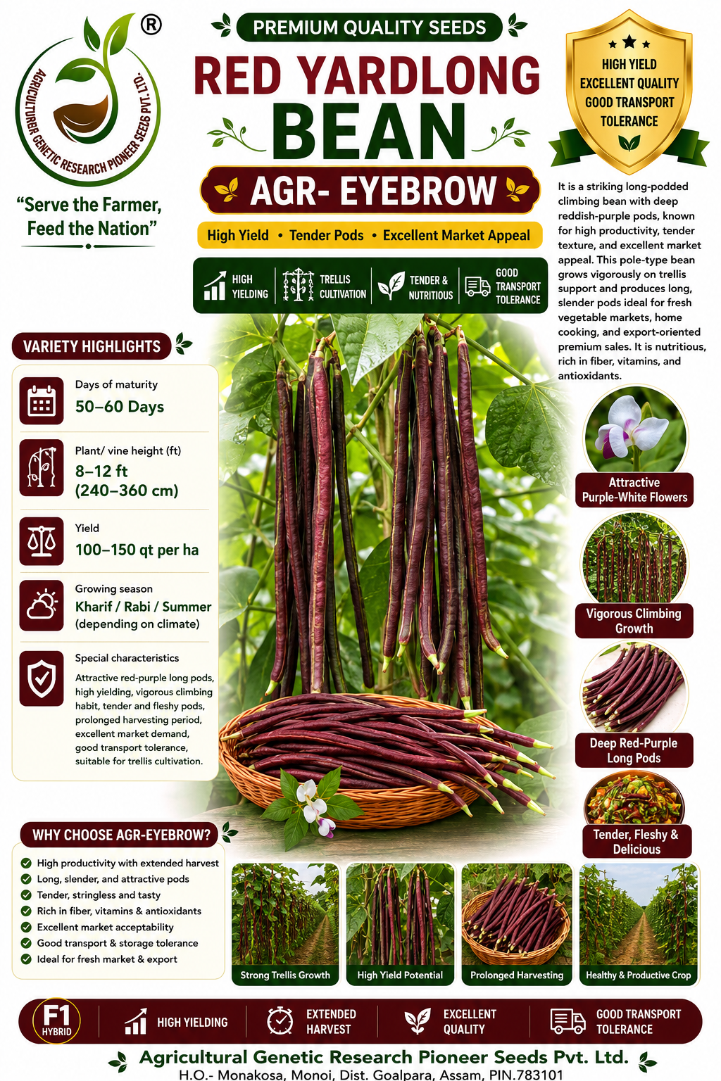 AGR-EYEBROW