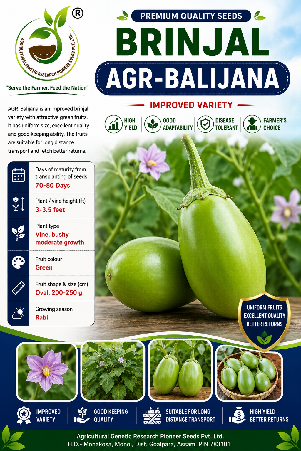 AGR-BALIJANA