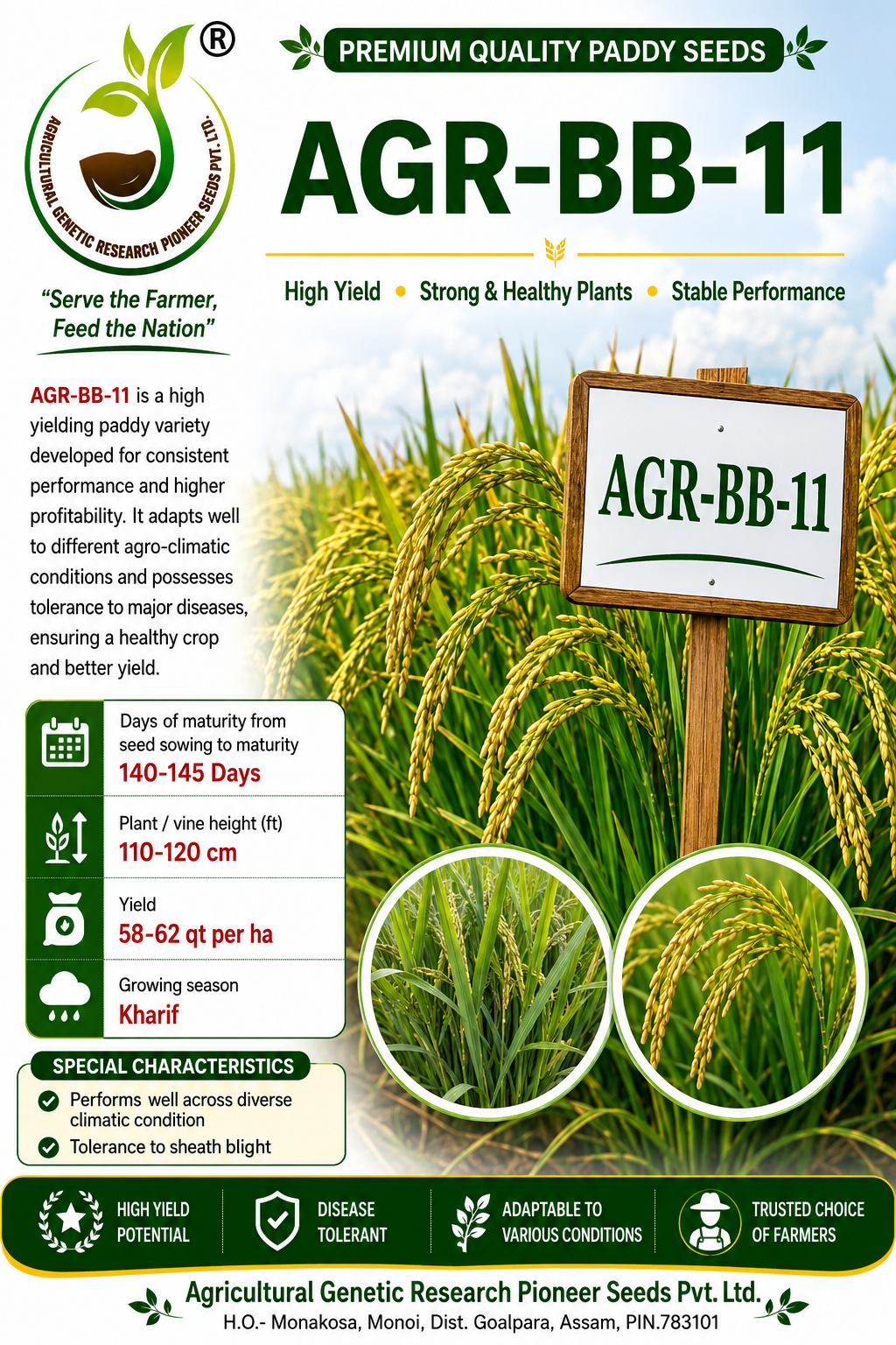 AGR-BB-11